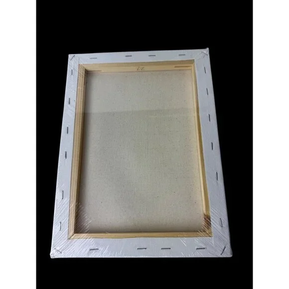 3 Pack Artist Canvas 9 x 12 - Picture 3 of 6